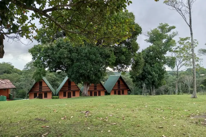 Tratamento de Alcoolismo em Jauá - BA