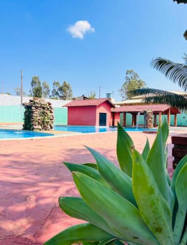 WhatsApp-Image-2025-04-10-at-10.50.26-3