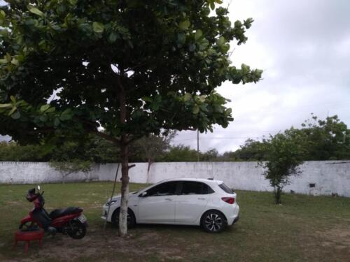 WhatsApp-Image-2025-04-14-at-11.45.57-1